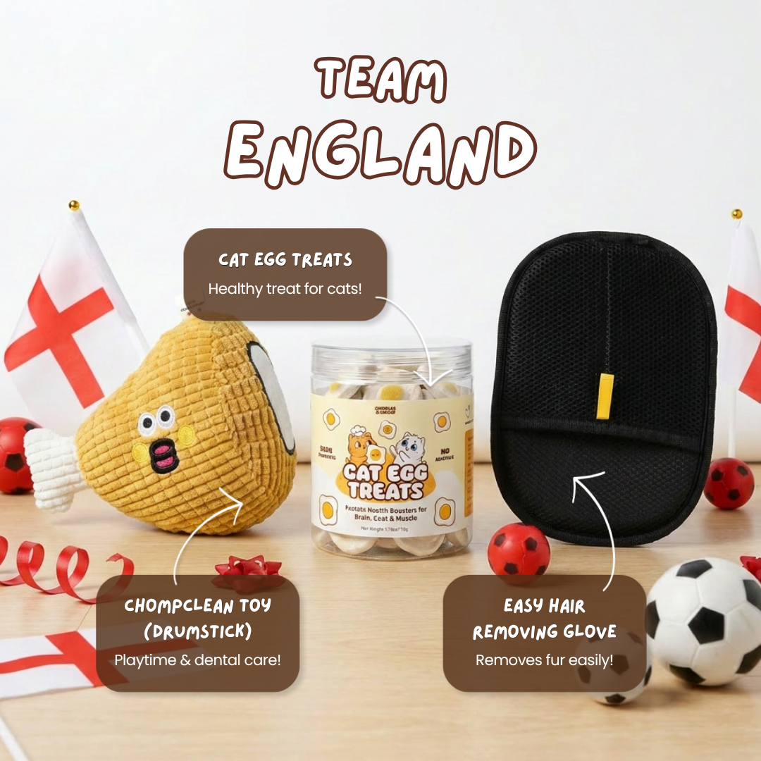World Cup Team Bundle (Limited Edition)