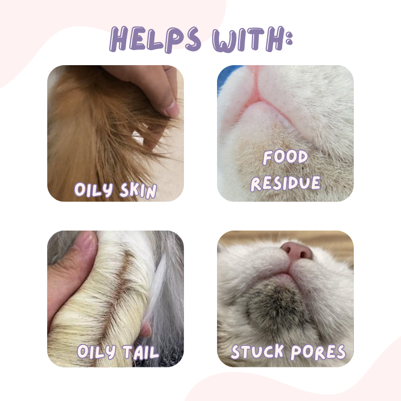 Cat Chin Cleanser