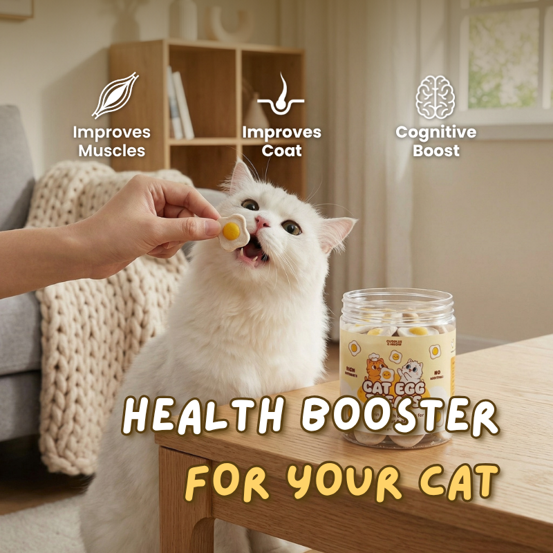 Cat Egg Treats