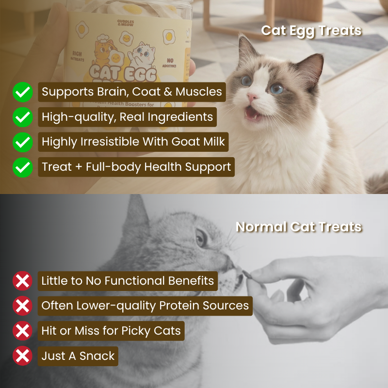 Cat Egg Treats