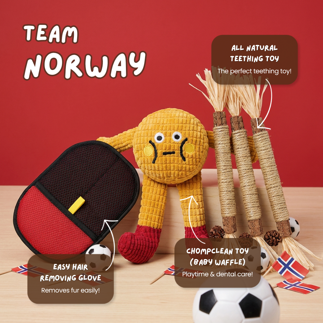 World Cup Team Bundle (Limited Edition)