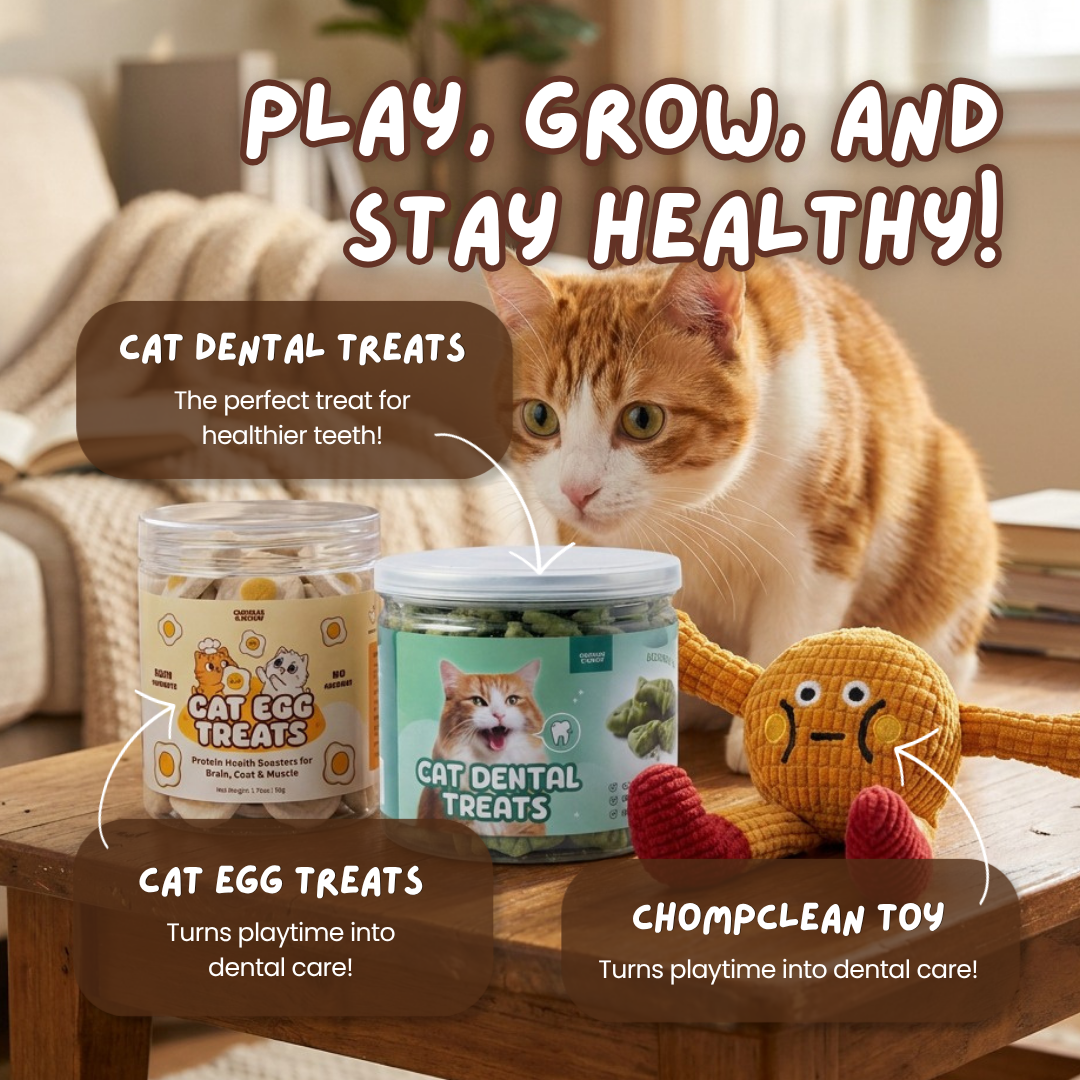 Protein Power Bundle