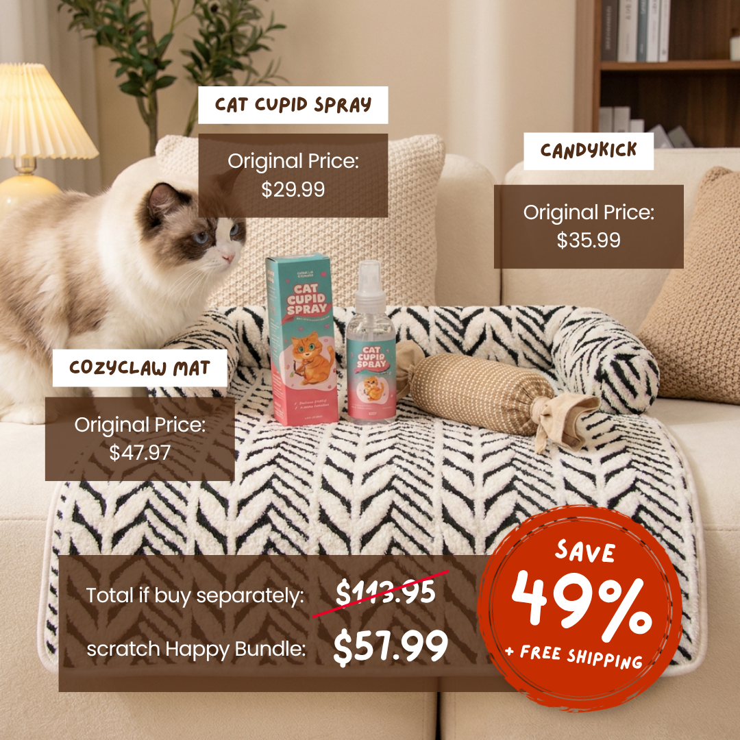 Scratch Happy Bundle