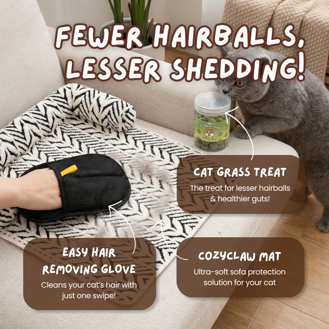 Shed Less, Love More Bundle