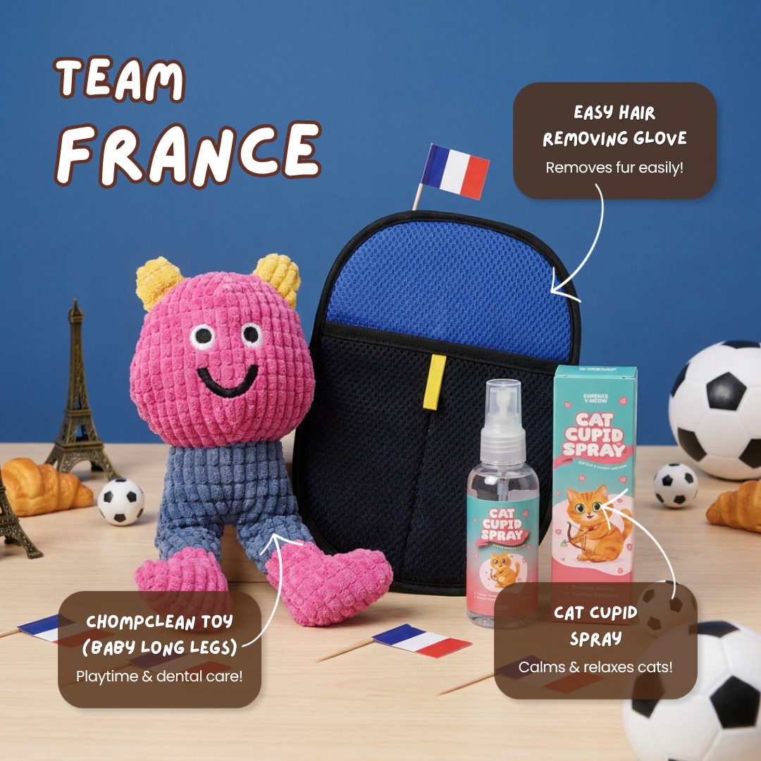 World Cup Team Bundle (Limited Edition)