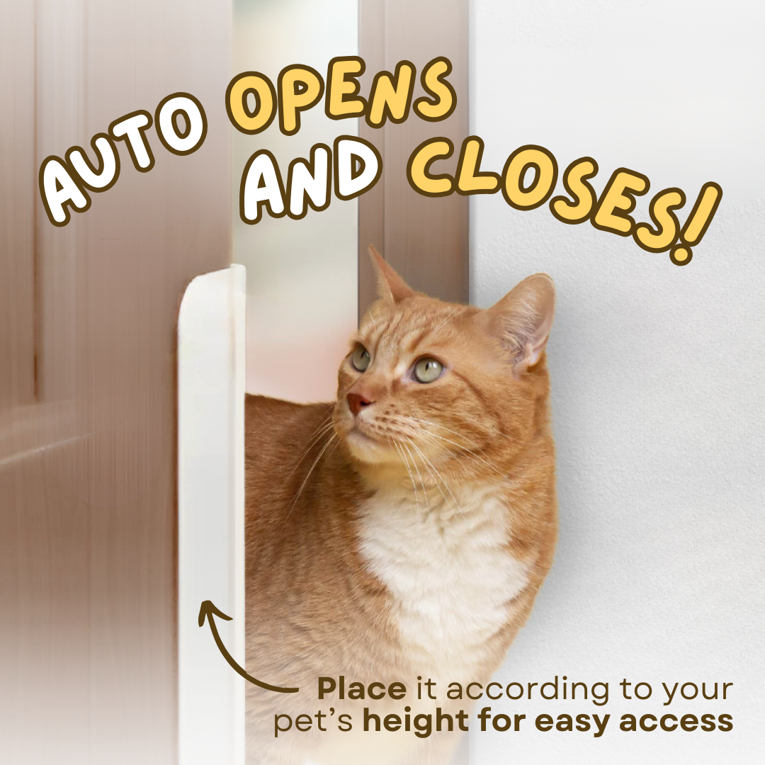 Auto Door Opener