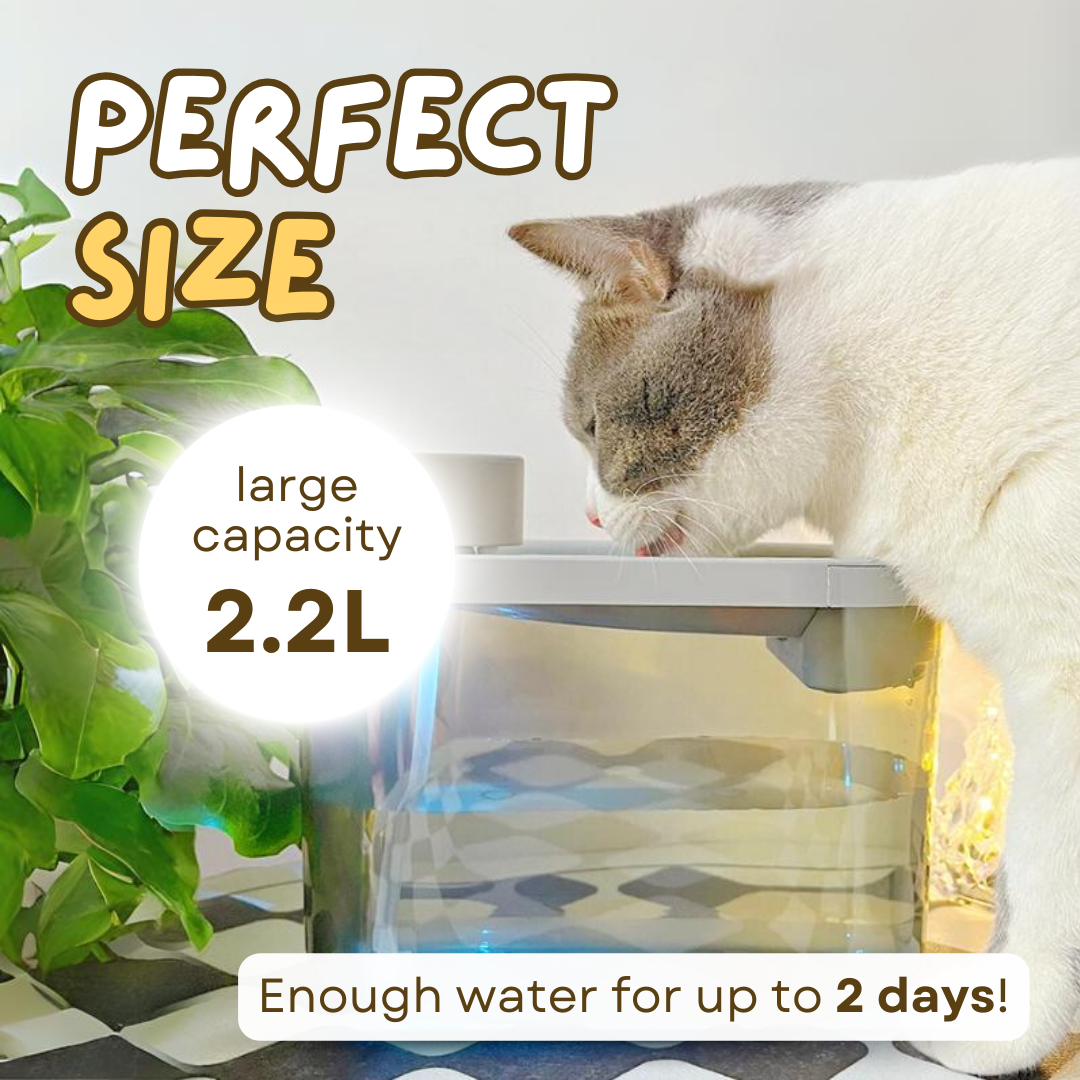 Wireless™ Pet Fountain