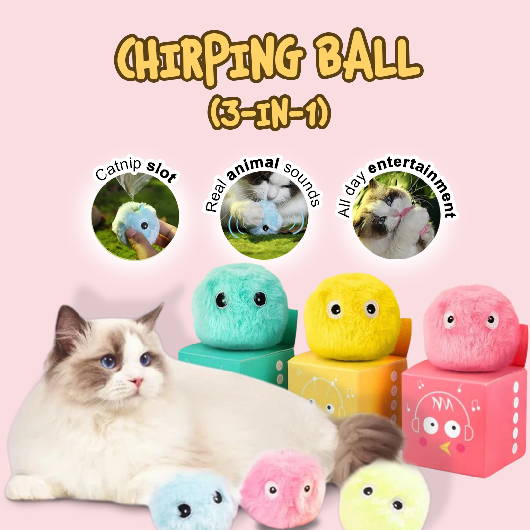 Play Paws Bundle