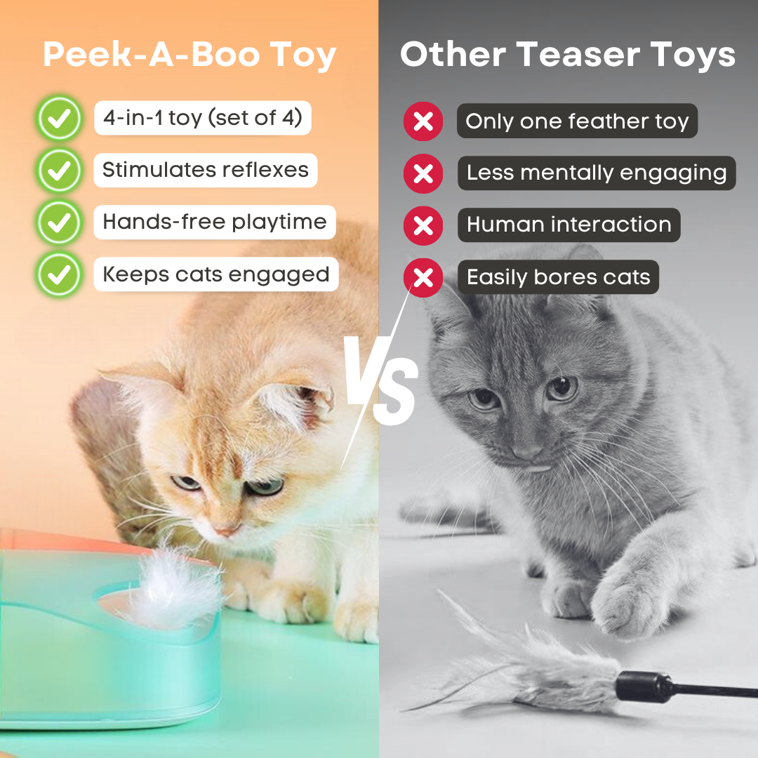 Smart Peek-A-Boo Toy