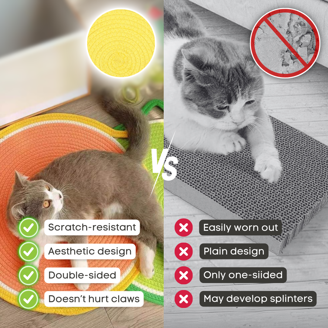 Dual Scratching Pad