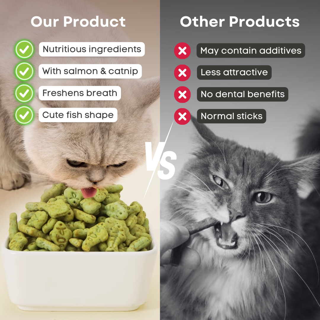 Cat Dental Treat