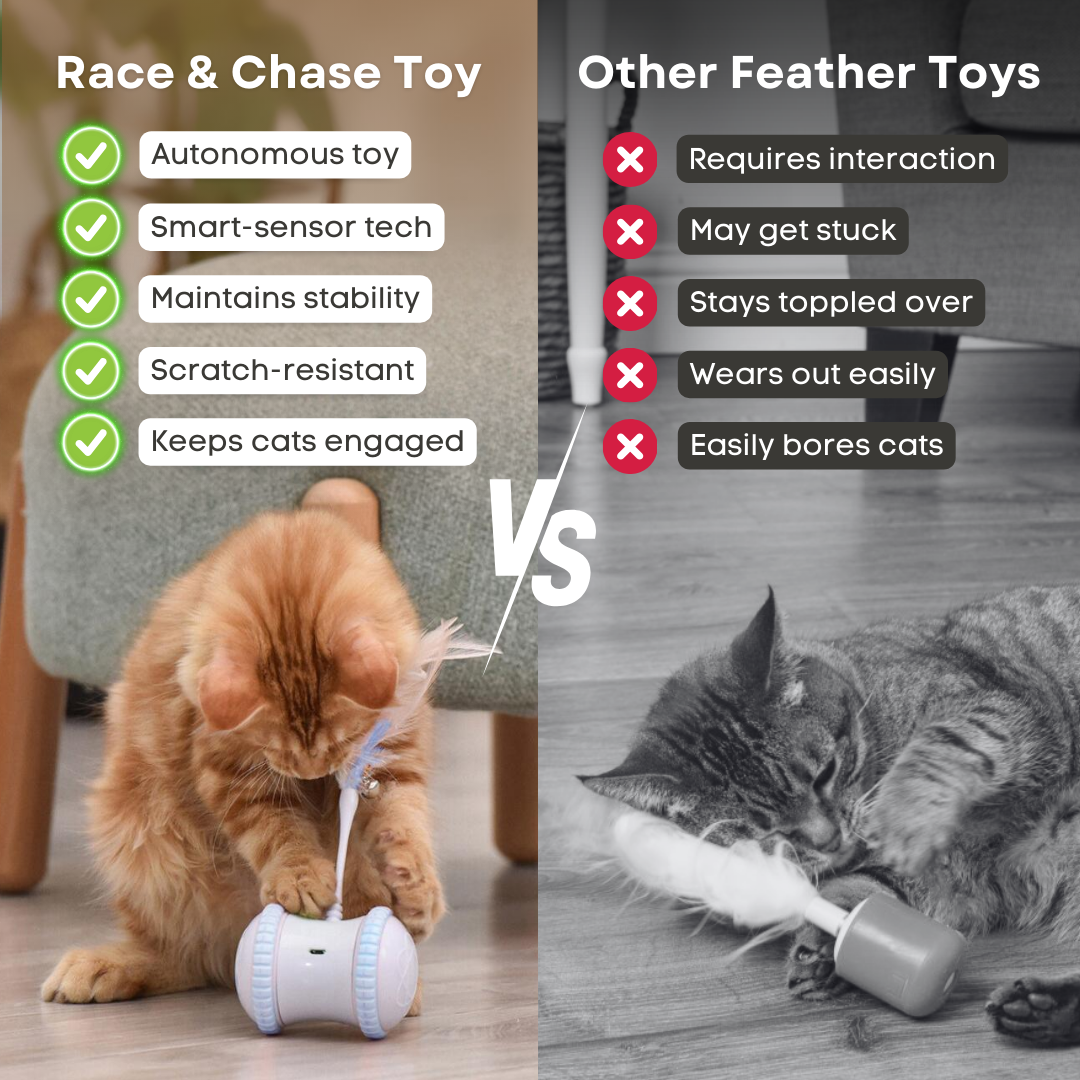 Race & Chase Toy