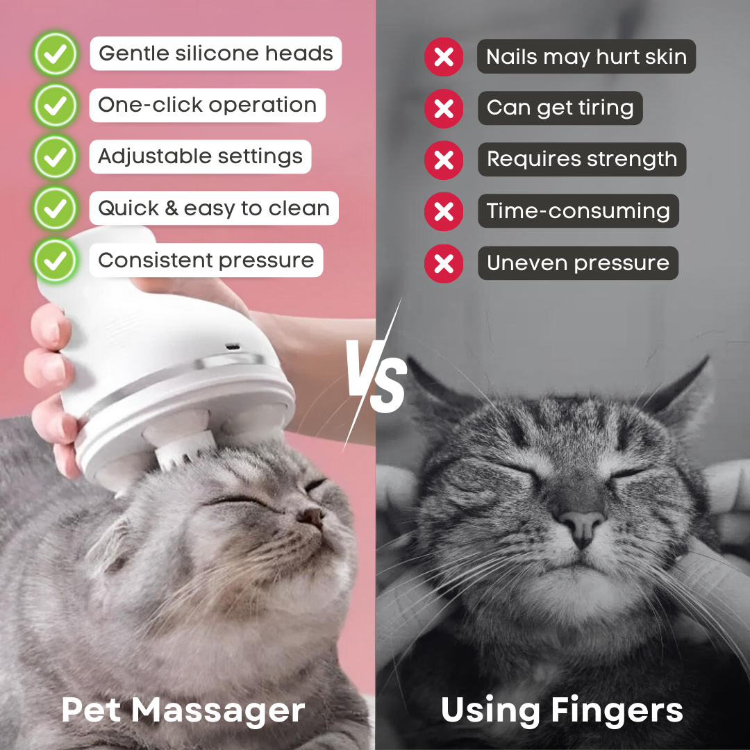 Pet Massager