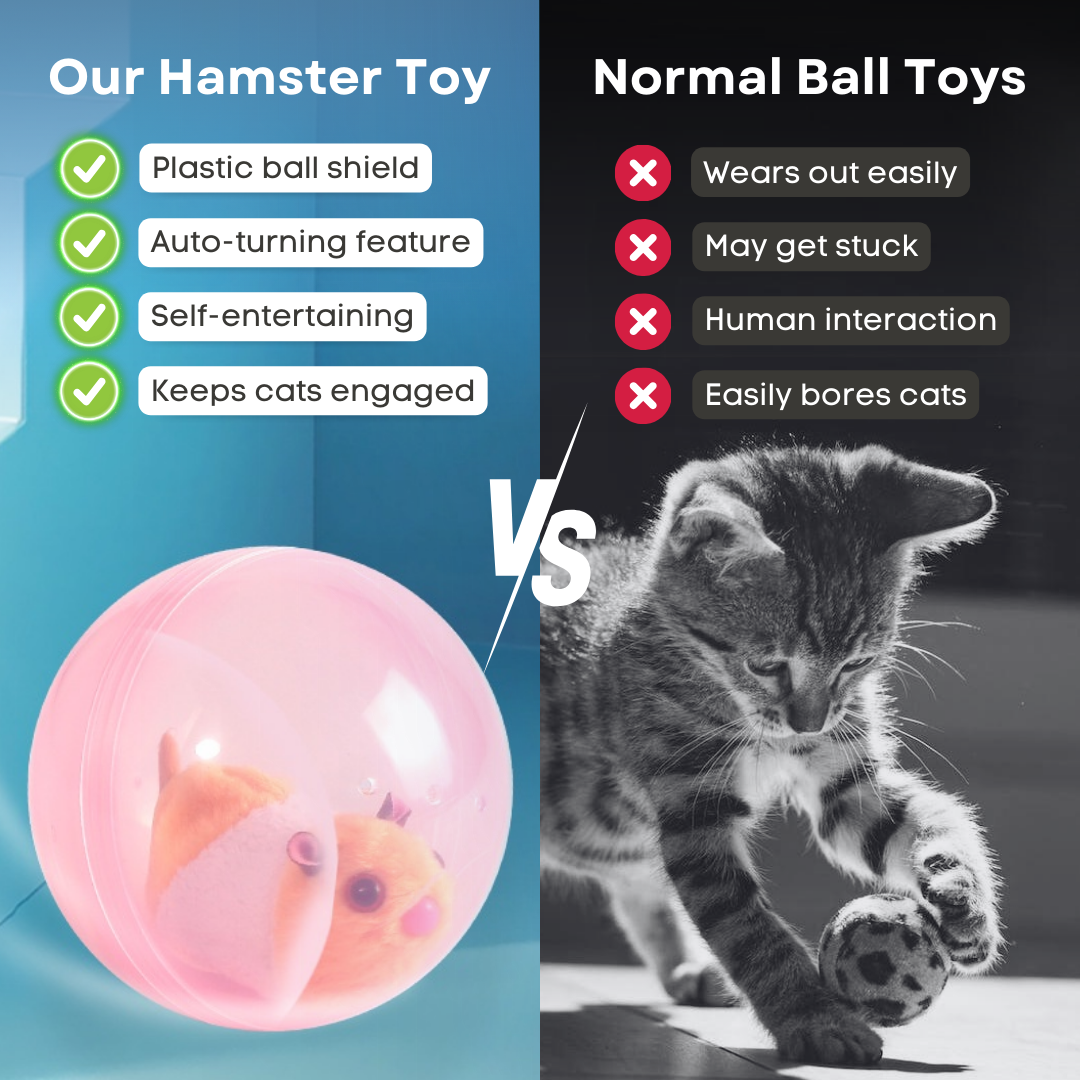 Hamster Toy
