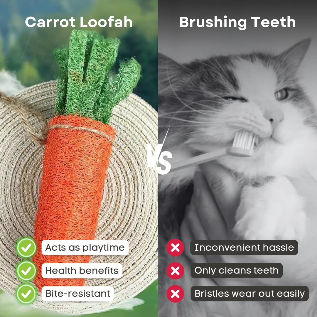 Carrot Loofah