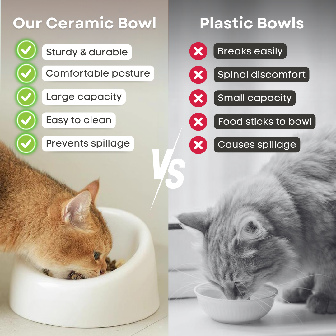 Ceramic Cat Bowl