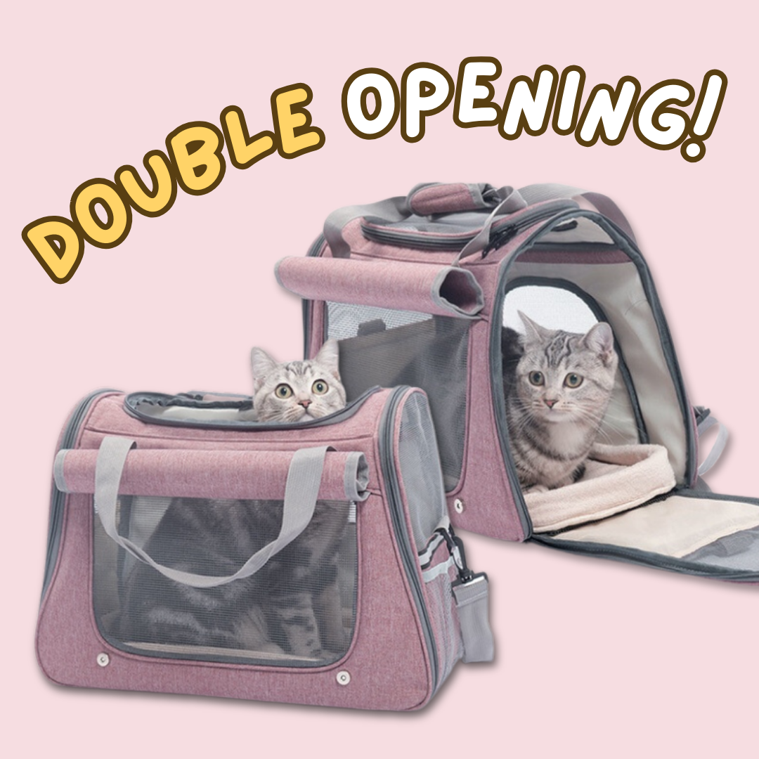 Cat Travel Bag