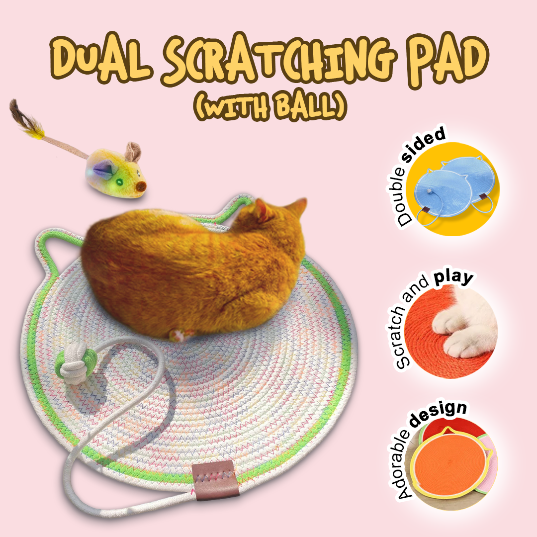 Play Paws Bundle