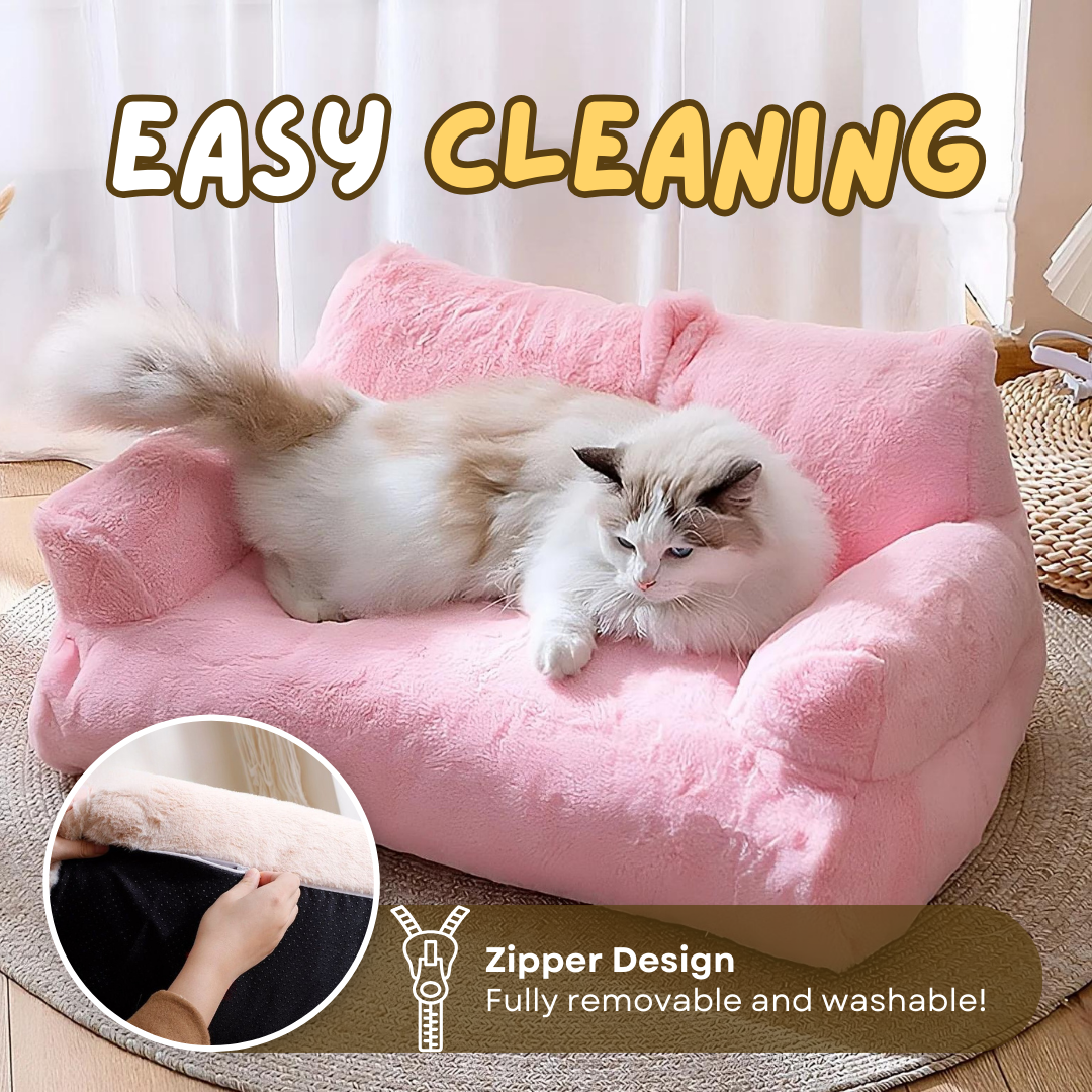 Sofa Bed