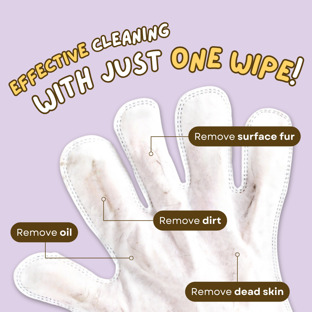 Dry Cleaning Gloves (6 PCS)