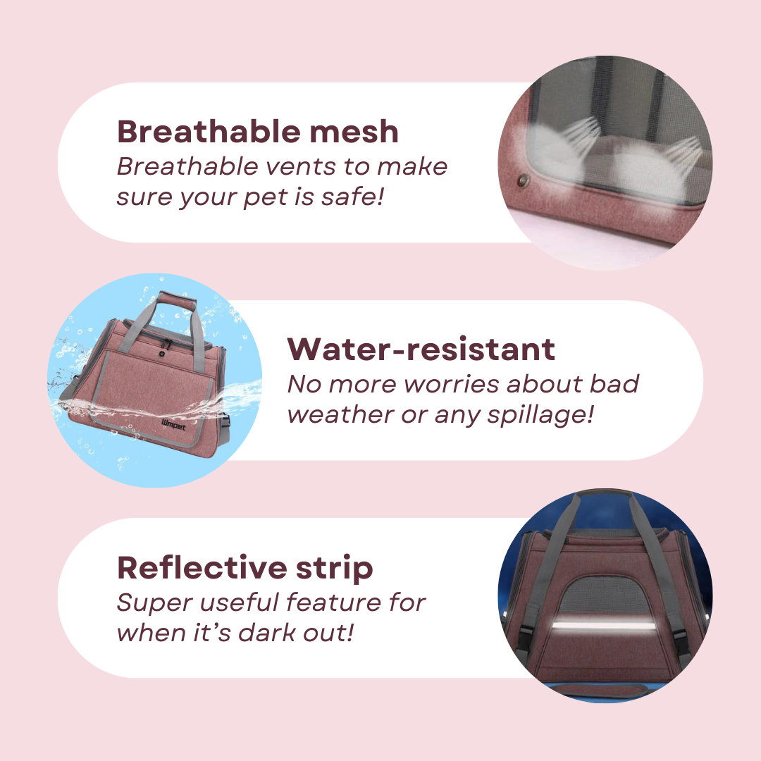 Cat Travel Bag