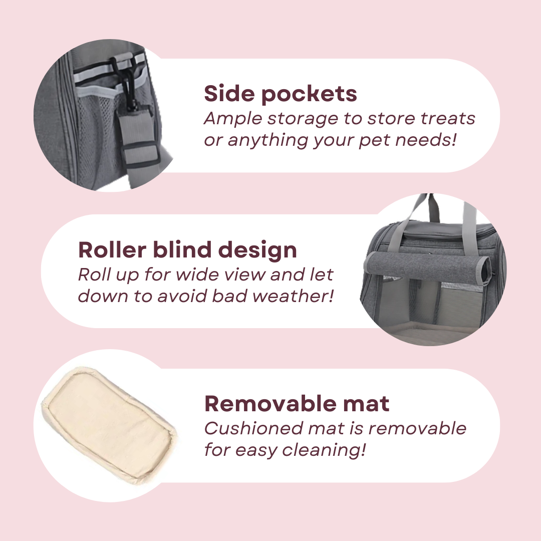Cat Travel Bag