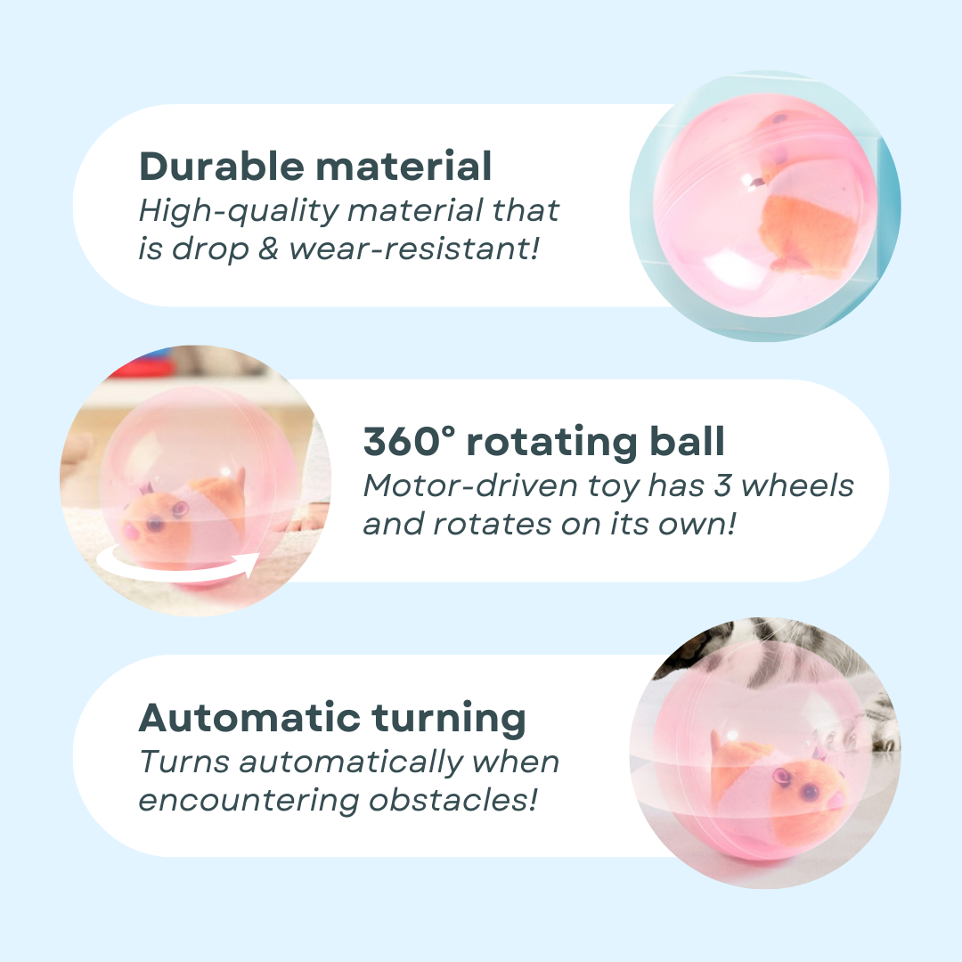 Hamster Toy