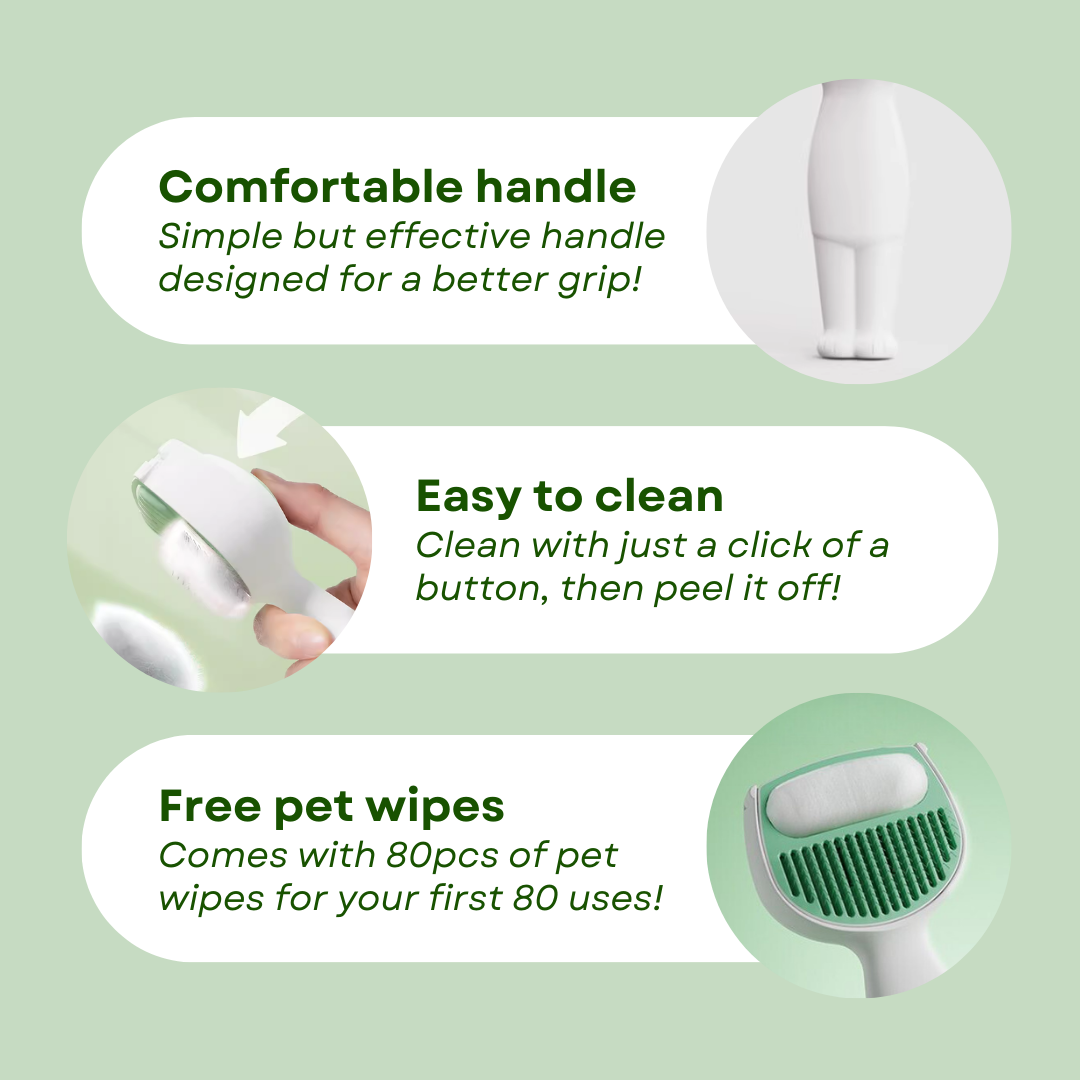 Easy Cleaning Brush