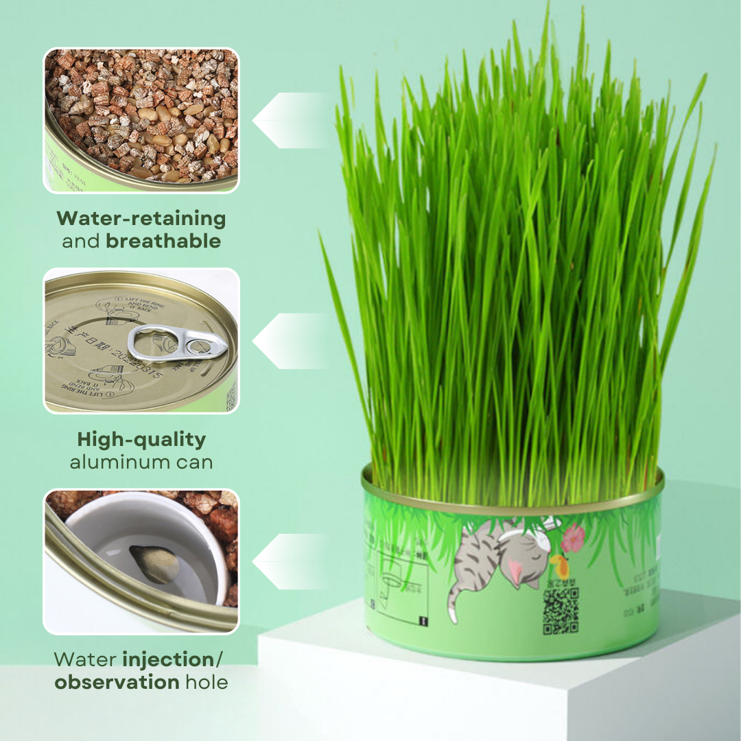 Fresh Canned Grass