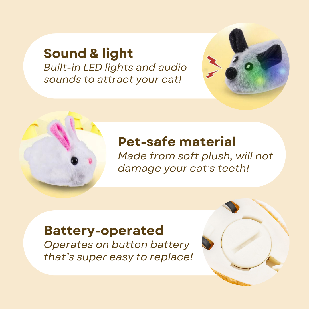 Smart Mouse Toy