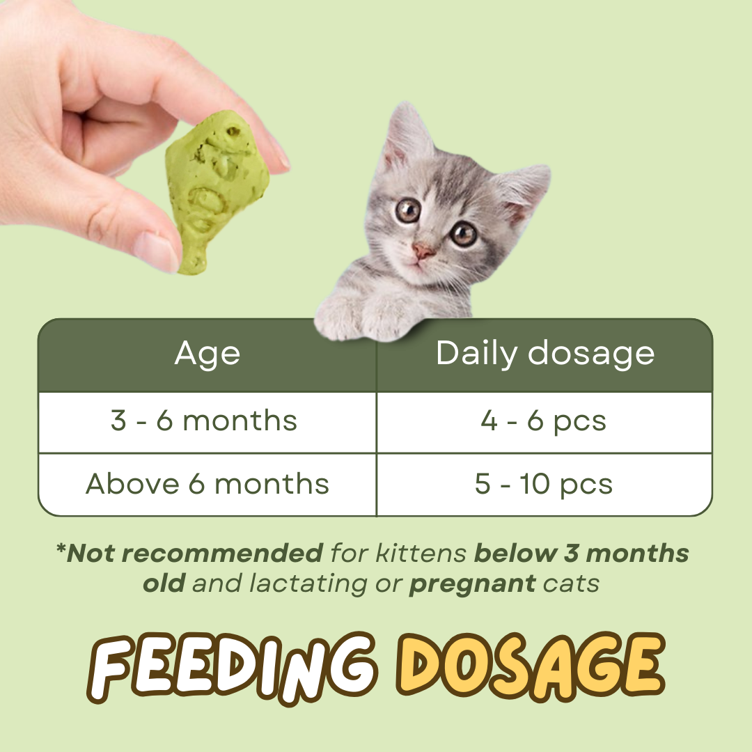 Cat Dental Treat