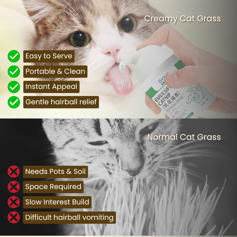 Creamy Cat Grass