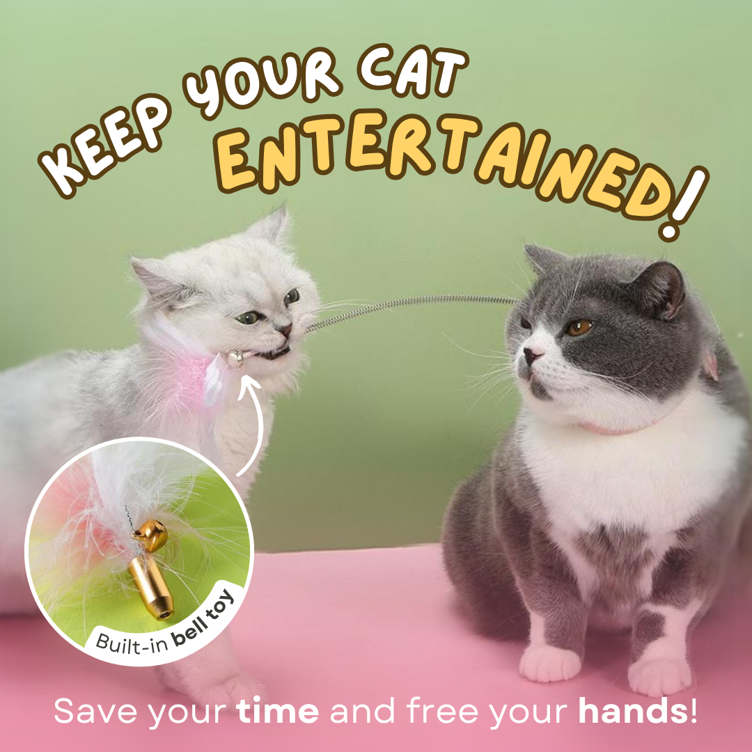 Cat Collar Toy