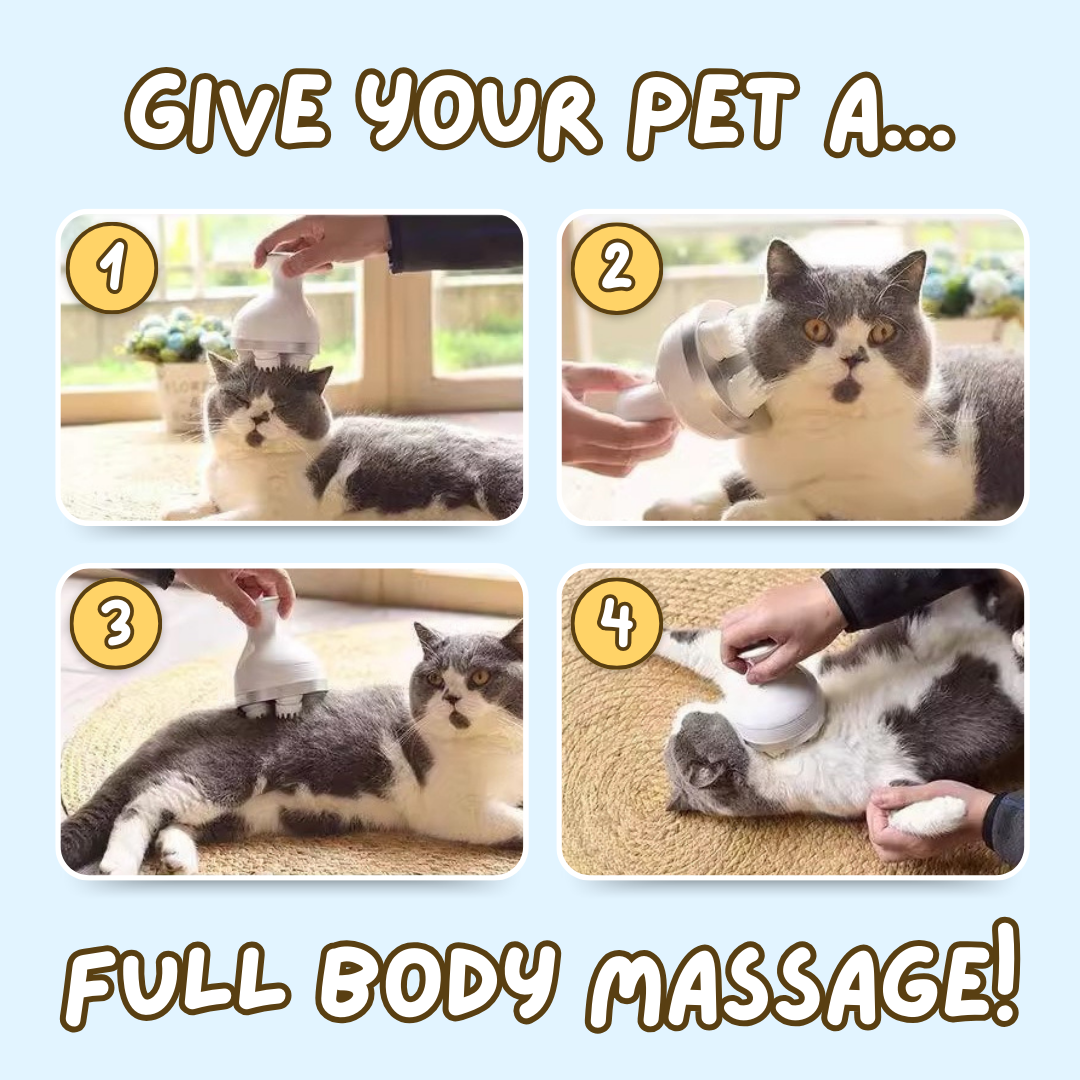 Pet Massager
