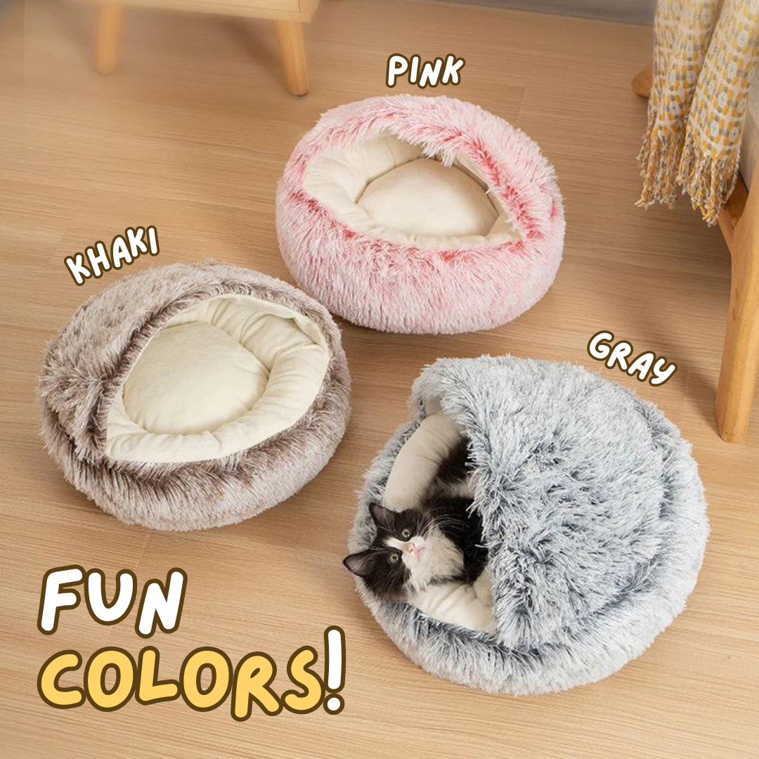 Seashell Bed