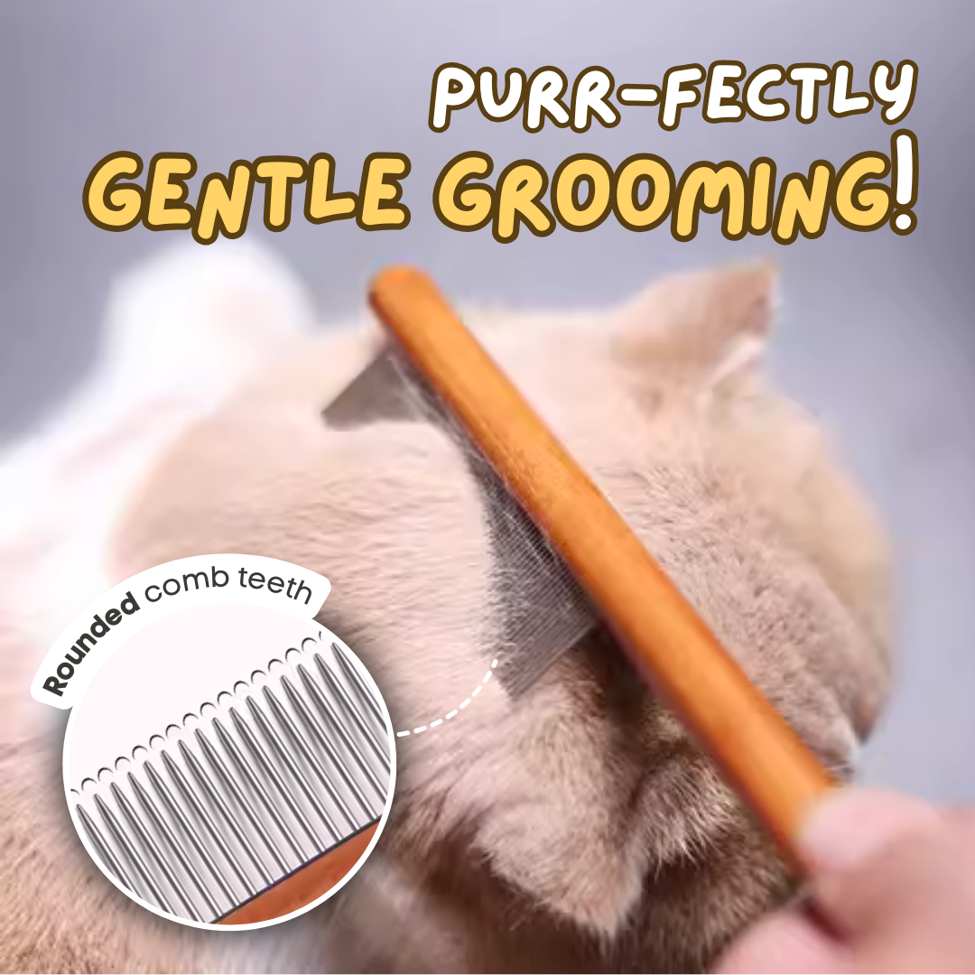 Wooden Cat Comb