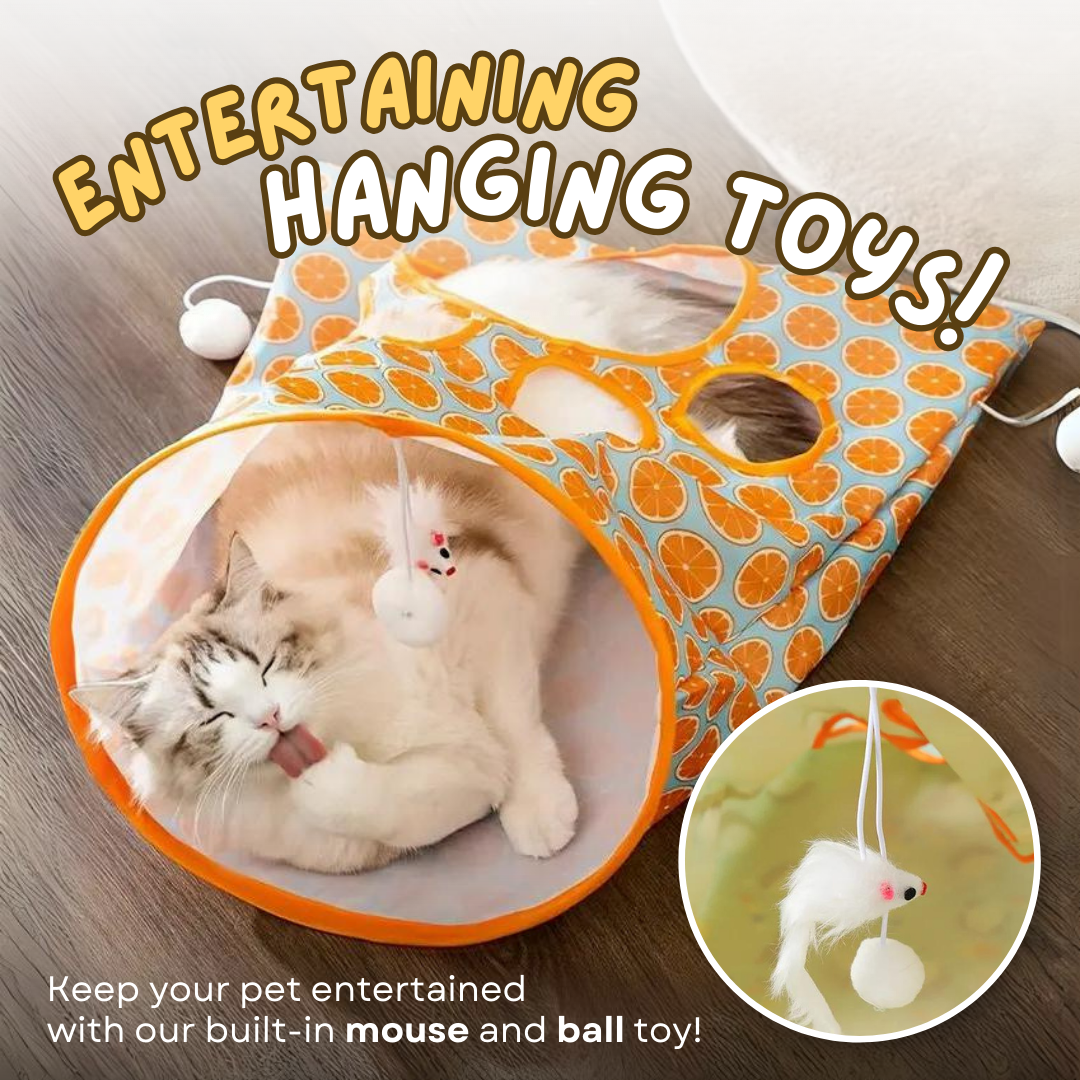 Tunnel Bag Toy