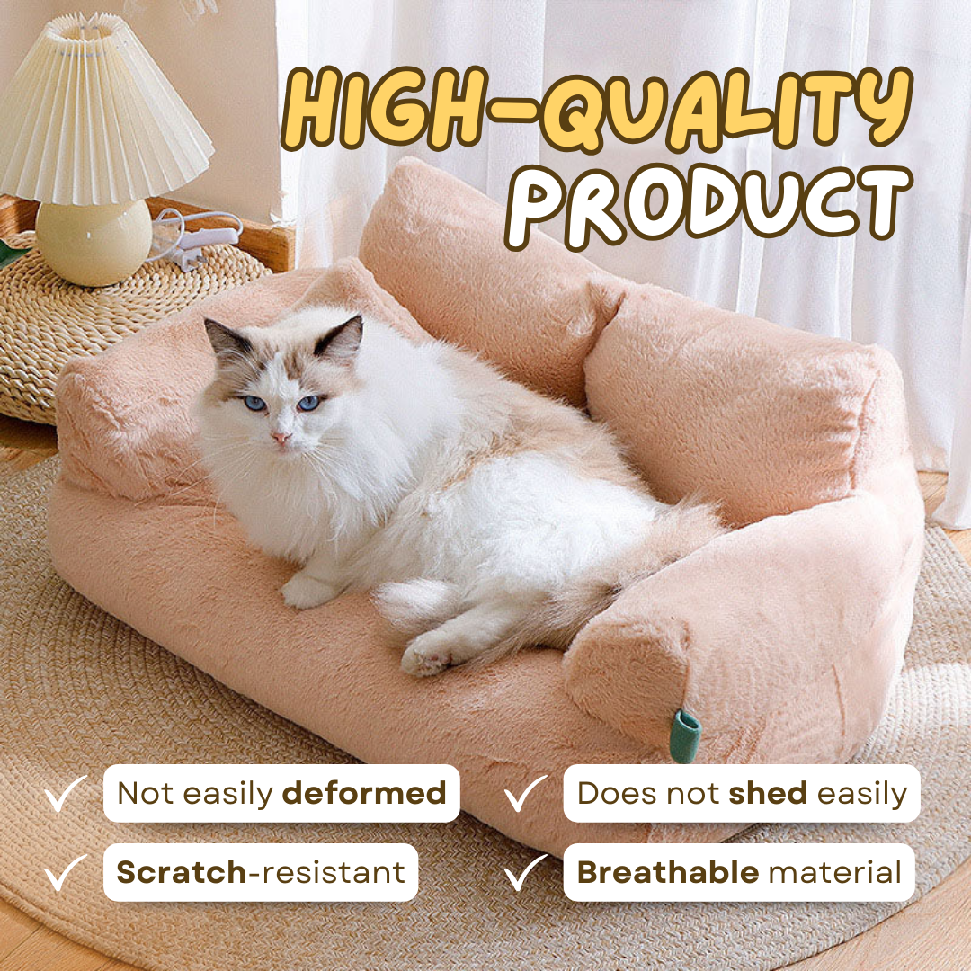 Sofa Bed