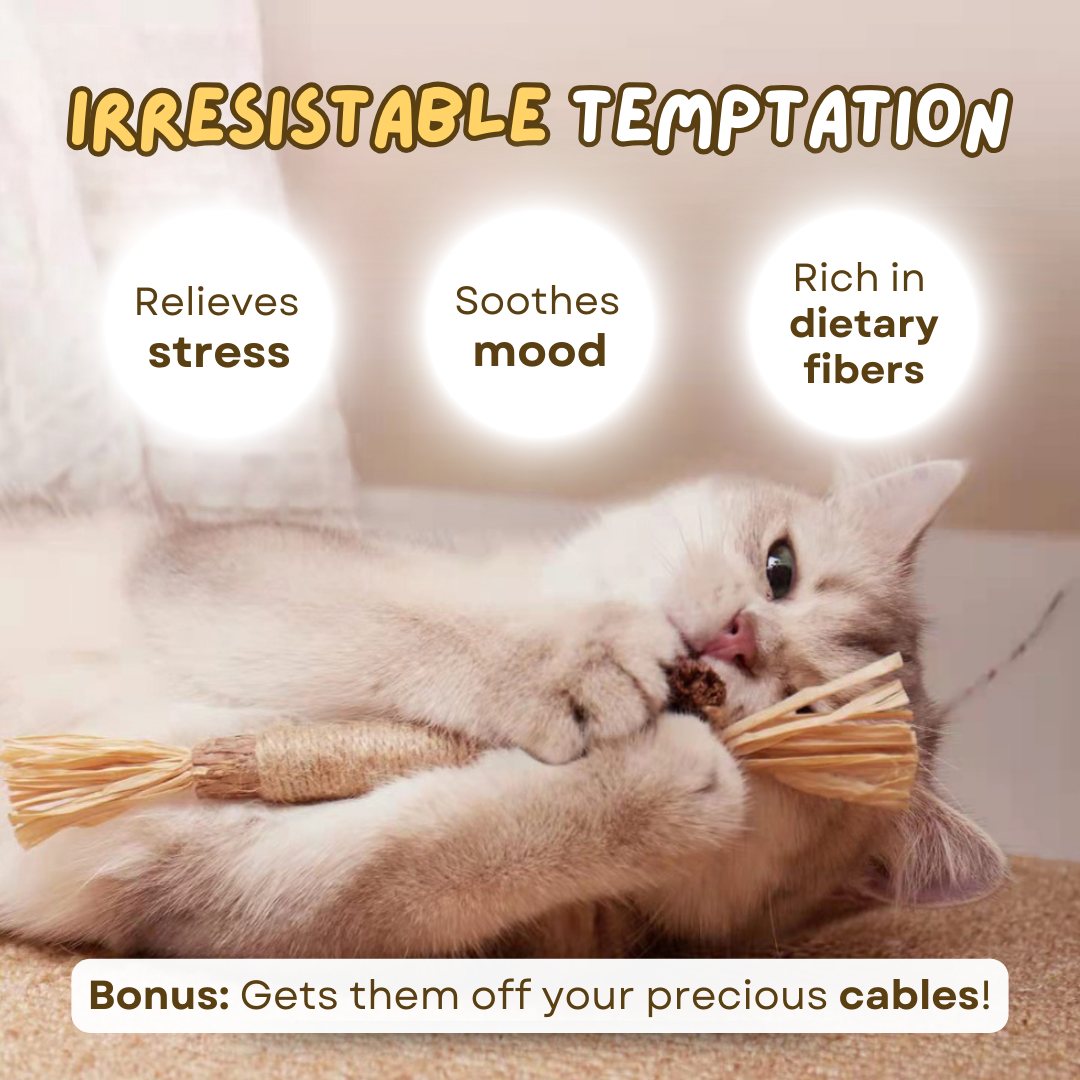 All Natural Teething Toy (3 Pcs)