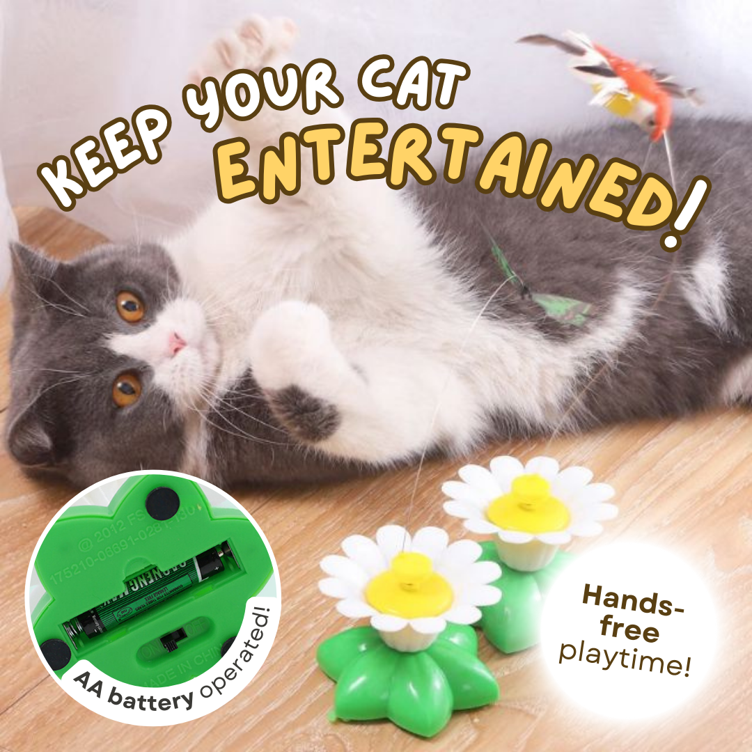 Buzzing Bird Toy