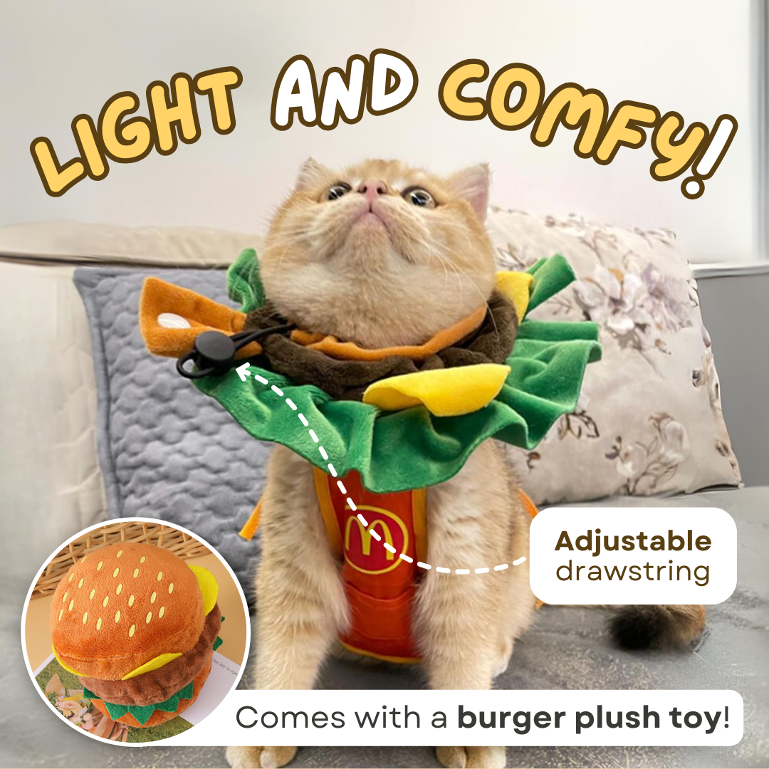 Cat Burger Cone