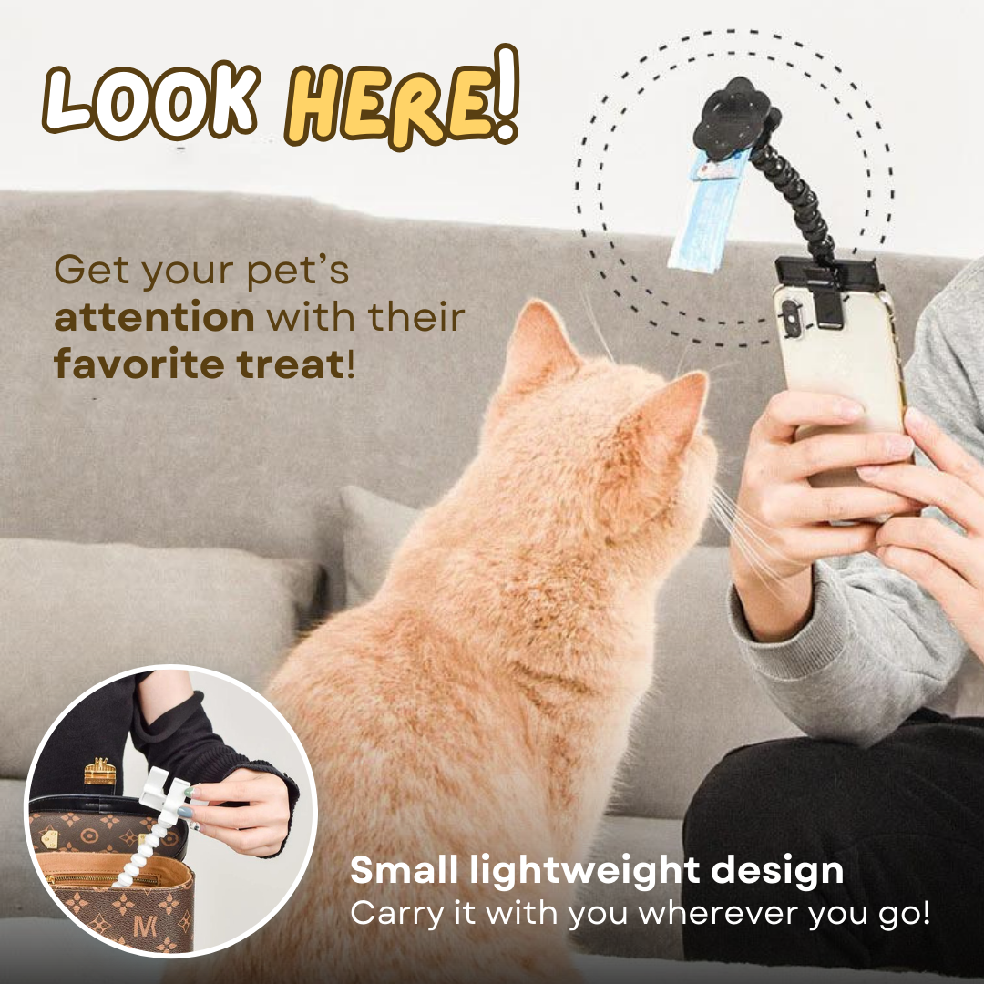 Snapcat Selfie Stick