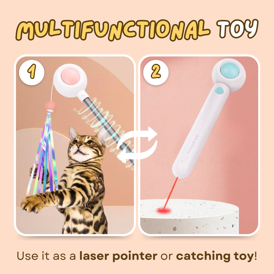 Dashing Laser Toy