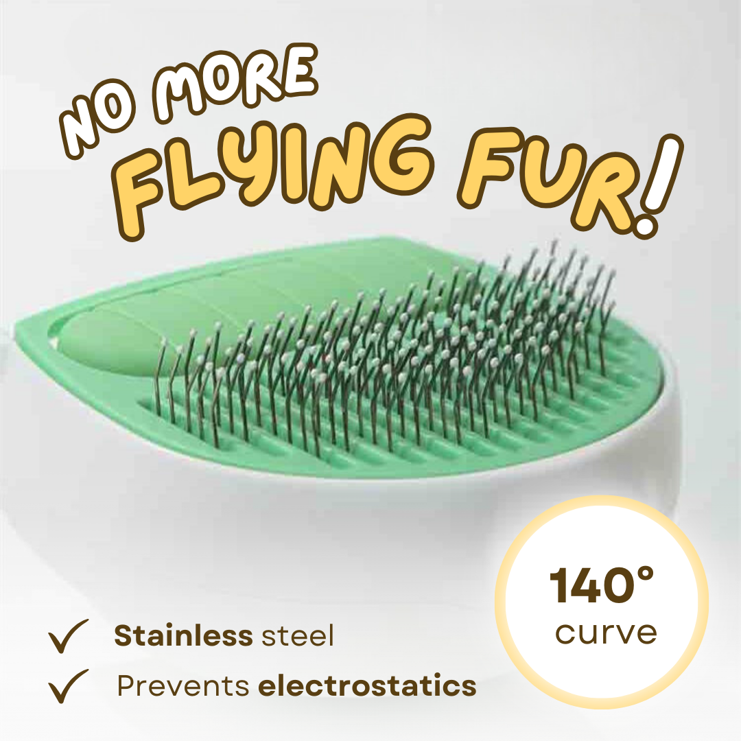 Easy Cleaning Brush
