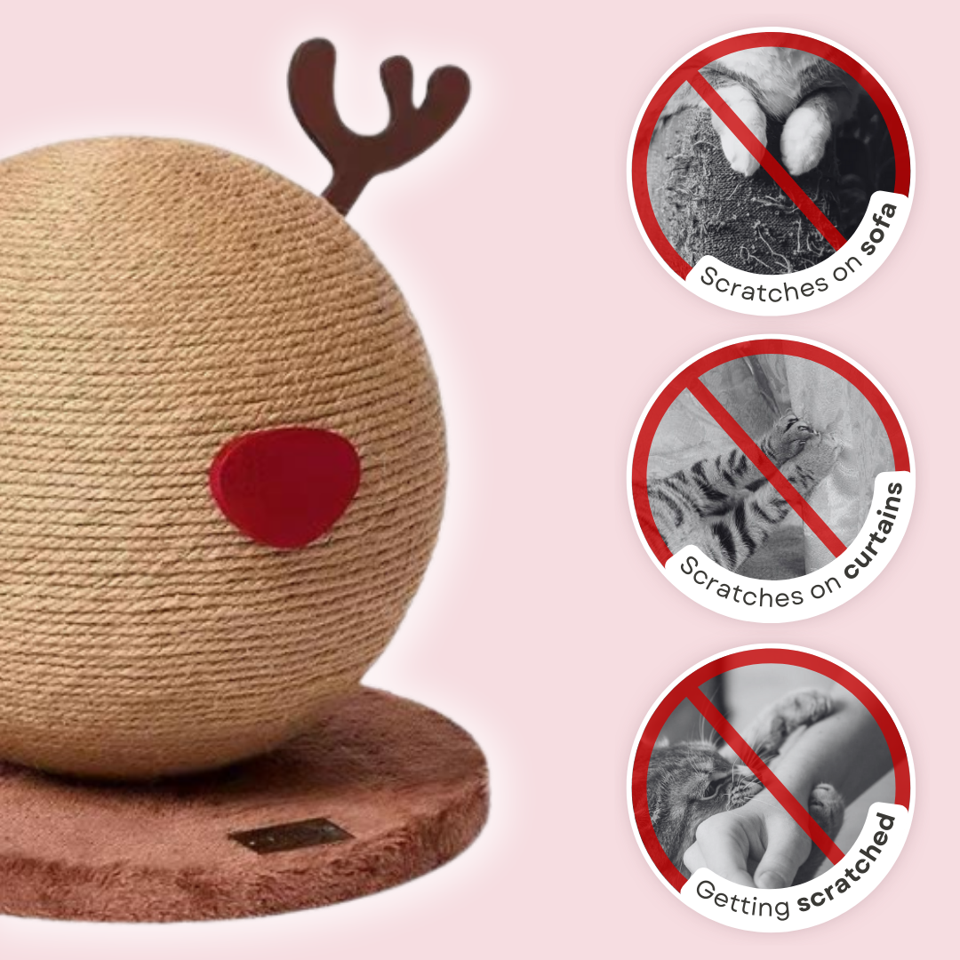 Reindeer Scratcher