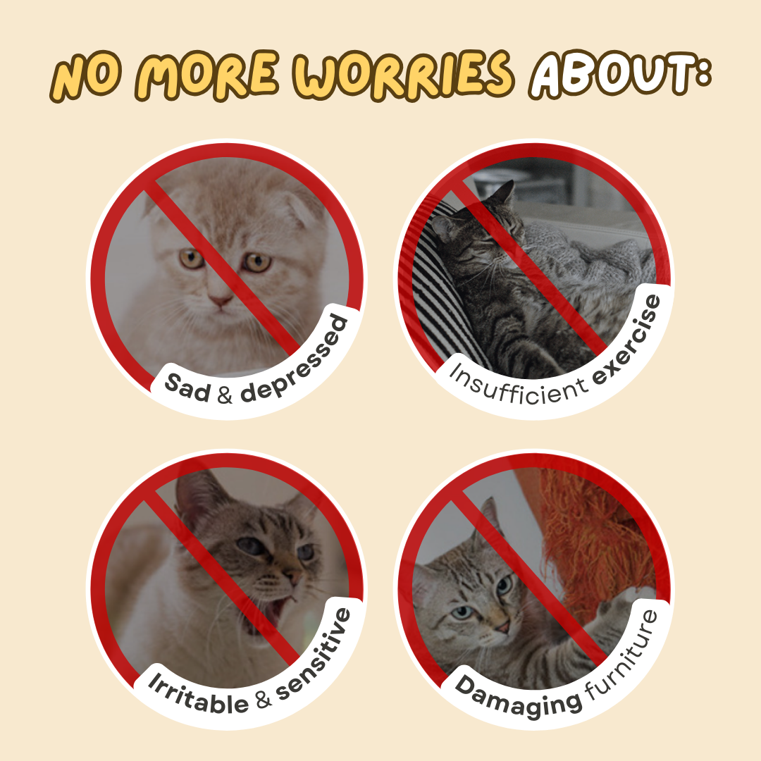 Dangling Catnip Toy (Set of 4)