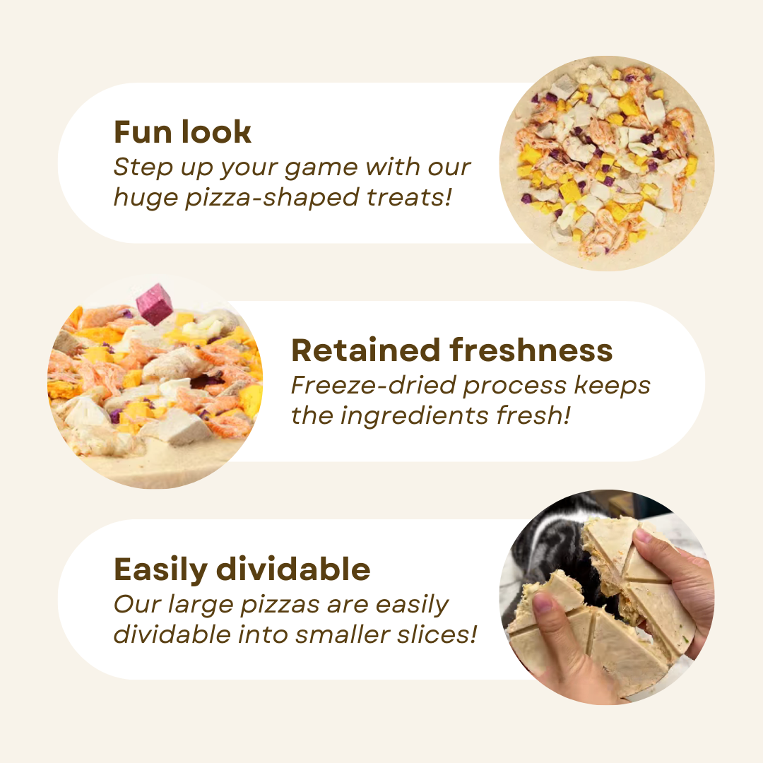 Pizza Treats