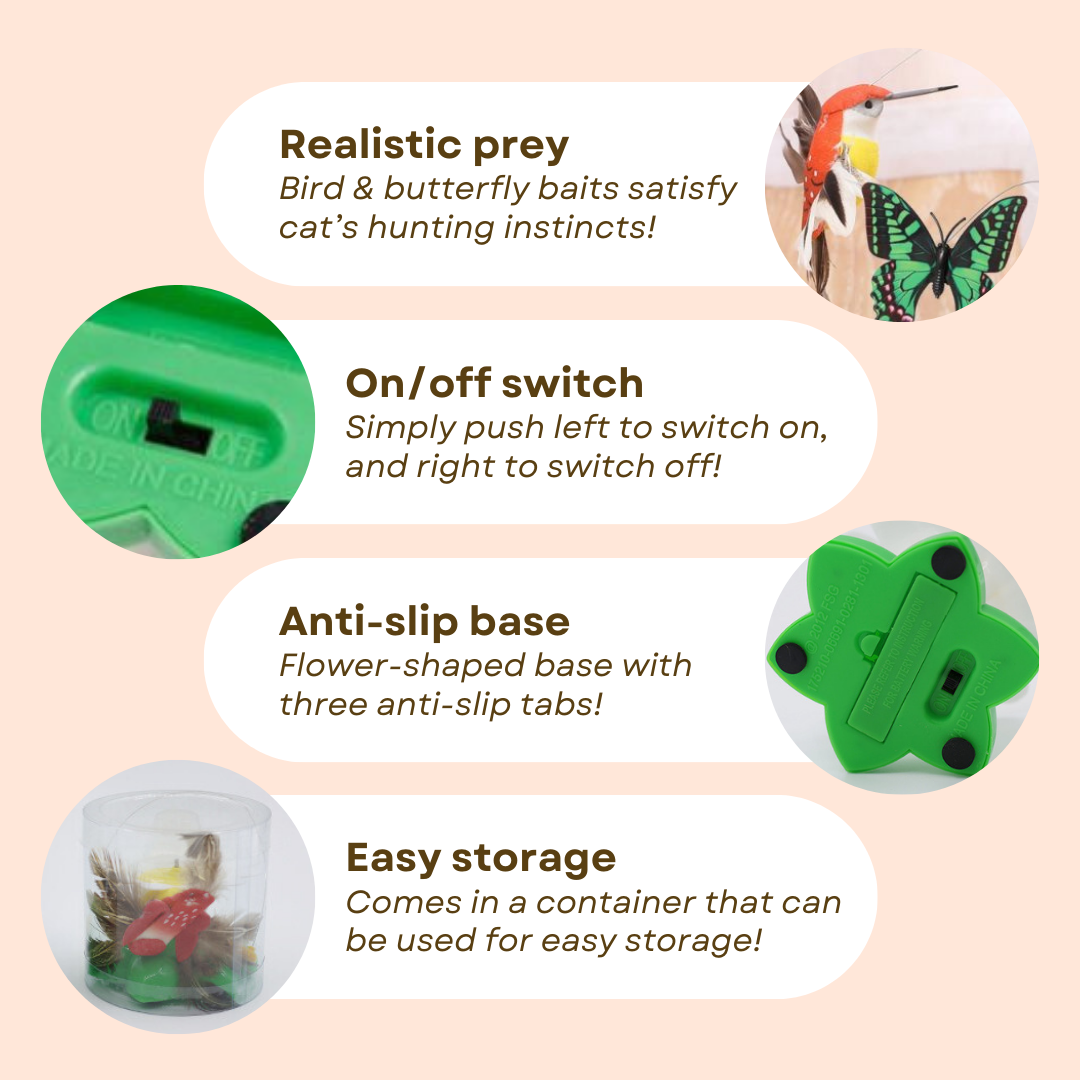 Buzzing Bird Toy
