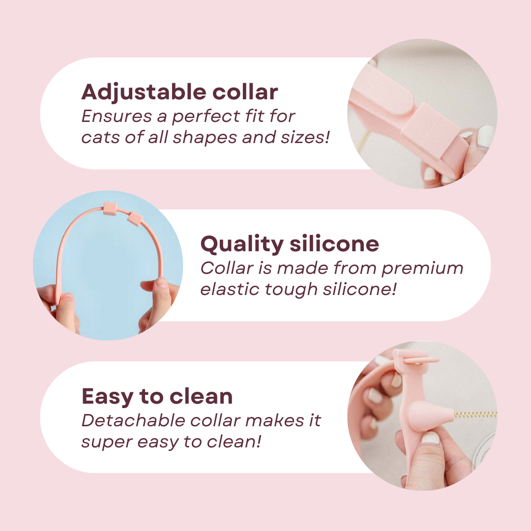 Cat Collar Toy