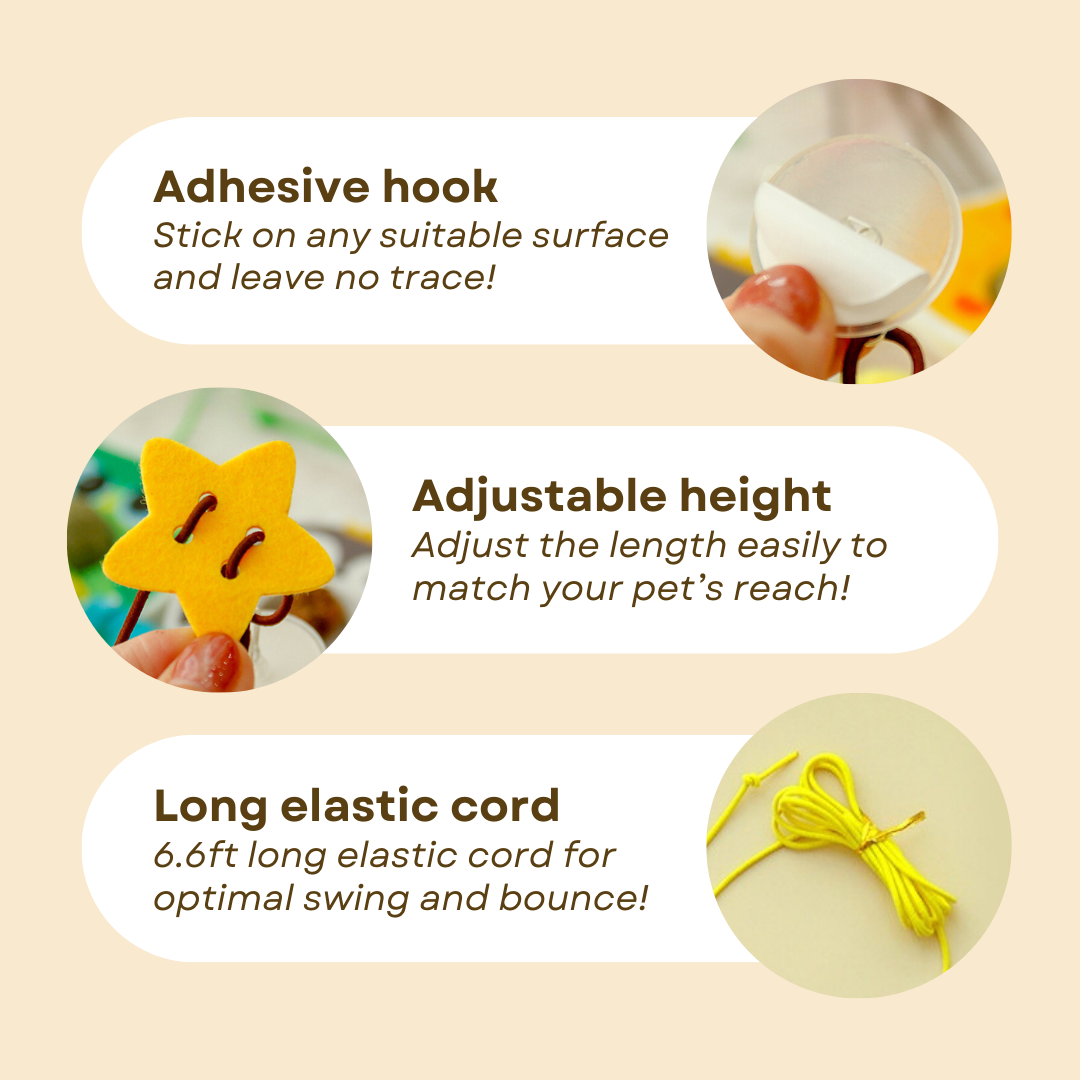 Dangling Catnip Toy (Set of 4)